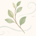fys-about-icon-02-plant
