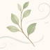fys-about-icon-02-plant